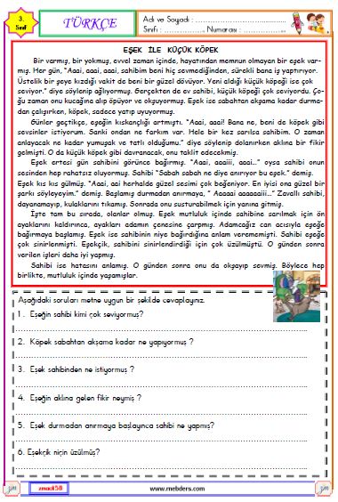 3. Sınıf Türkçe Okuma ve Anlama Metni  Etkinliği ( Eşek ile Küçük Köpek )